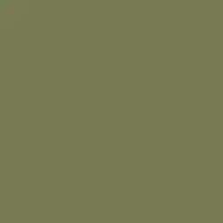 Bonsai Paint Color DE5538