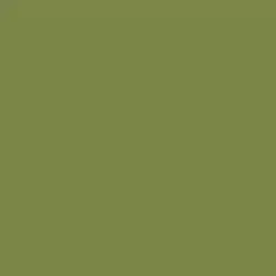 Fresh Artichoke Paint Color DE5545