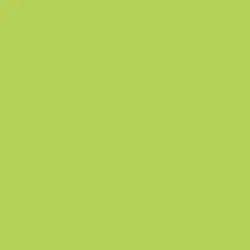 Citrus Leaf Paint Color DE5558