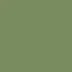 Sage Leaves Paint Color DE5572