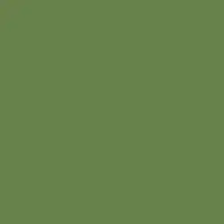 Shaded Spruce Paint Color DE5587