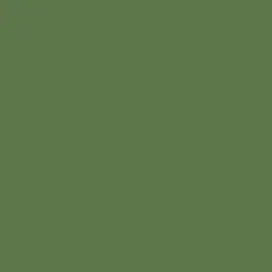 Jolly Green Paint Color DE5594