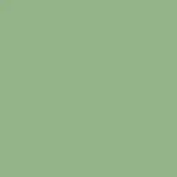 Foliage Paint Color DE5612