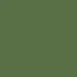 Climbing Ivy Paint Color DE5615