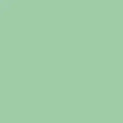 Potted Plant Paint Color DE5626