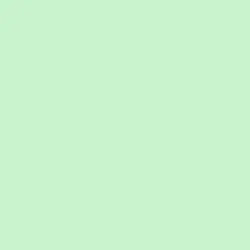 Creamy Mint Paint Color DE5632