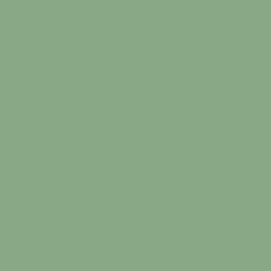 Mermaid's Cove Paint Color DE5641