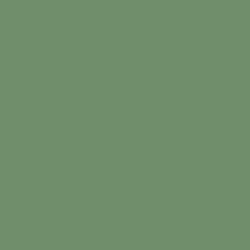 Forest Path Paint Color DE5642