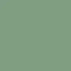 Vineyard Paint Color DE5648