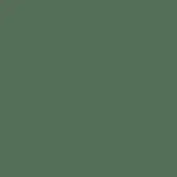 Green Bayou Paint Color DE5650