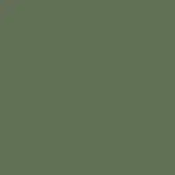 Midnight Garden Paint Color DE5657