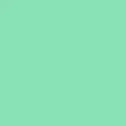 Sprig of Mint Paint Color DE5675