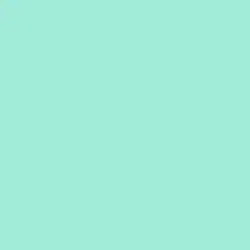 Pale Jade Paint Color DE5681