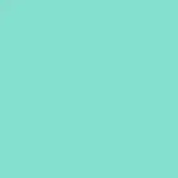 Seafoam Paint Color DE5695