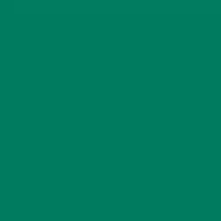 Emerald Pool Paint Color DE5699