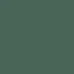 Pine Haven Paint Color DE5713