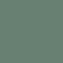 Ecological Paint Color DE5719