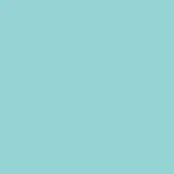 Aqua Bloom Paint Color DE5737