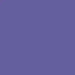 Mardi Gras Paint Color DE5943