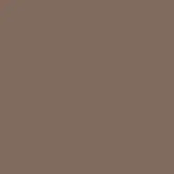 Bannister Brown Paint Color DE6069