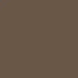 Chocolate Chunk Paint Color DE6070