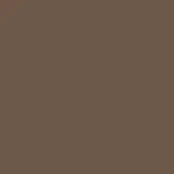 Deep Brown Paint Color DE6077