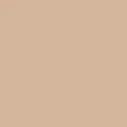 Kraft Paper Paint Color DE6109