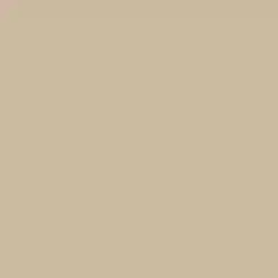 Rustic Taupe Color de pintura DE6129