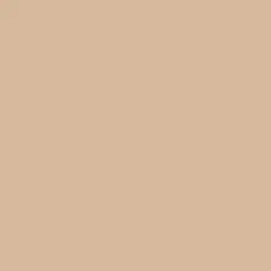 Terracotta Sand Paint Color DE6136