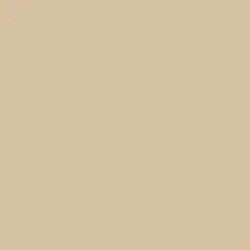 Almond Latte Paint Color DE6143