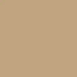 Graham Cracker Paint Color DE6144