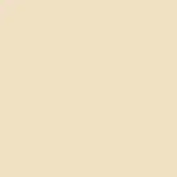 Cream Washed Paint Color DE6149