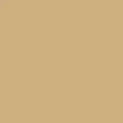 Warm Butterscotch Paint Color DE6151