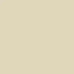 Sand Dollar Paint Color DE6171