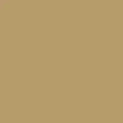 New Cork Paint Color DE6180