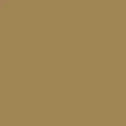 Banner Gold Paint Color DE6181