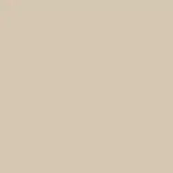 Desert Suede Paint Color DE6206