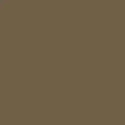 Midnight Brown Paint Color DE6210