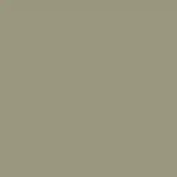 Union Springs Paint Color DE6243