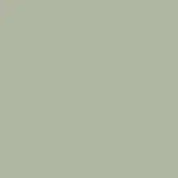 Pistachio Shell Paint Color DE6263