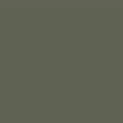 English Forest Paint Color DE6280