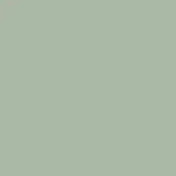 Graceful Green Paint Color DE6284