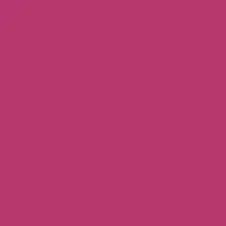 Fiery Fuchsia Paint Color DEA101