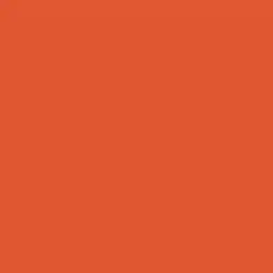 Untamed Orange Paint Color DEA110