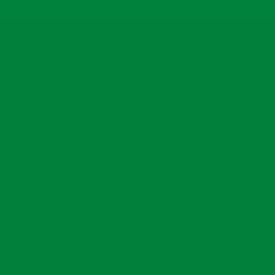 Charmed Green Paint Color DEA129