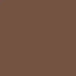 Rich Mocha Paint Color DEA159