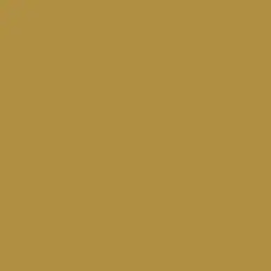 Pirate's Gold Paint Color DEA168