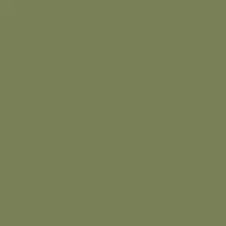 Frond Paint Color DEA173