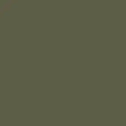 Olive Court Paint Color DEA174