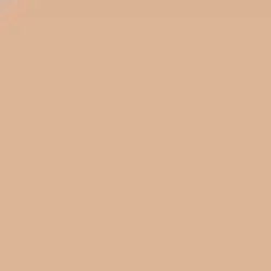 Sunset Cove Paint Color DEC708